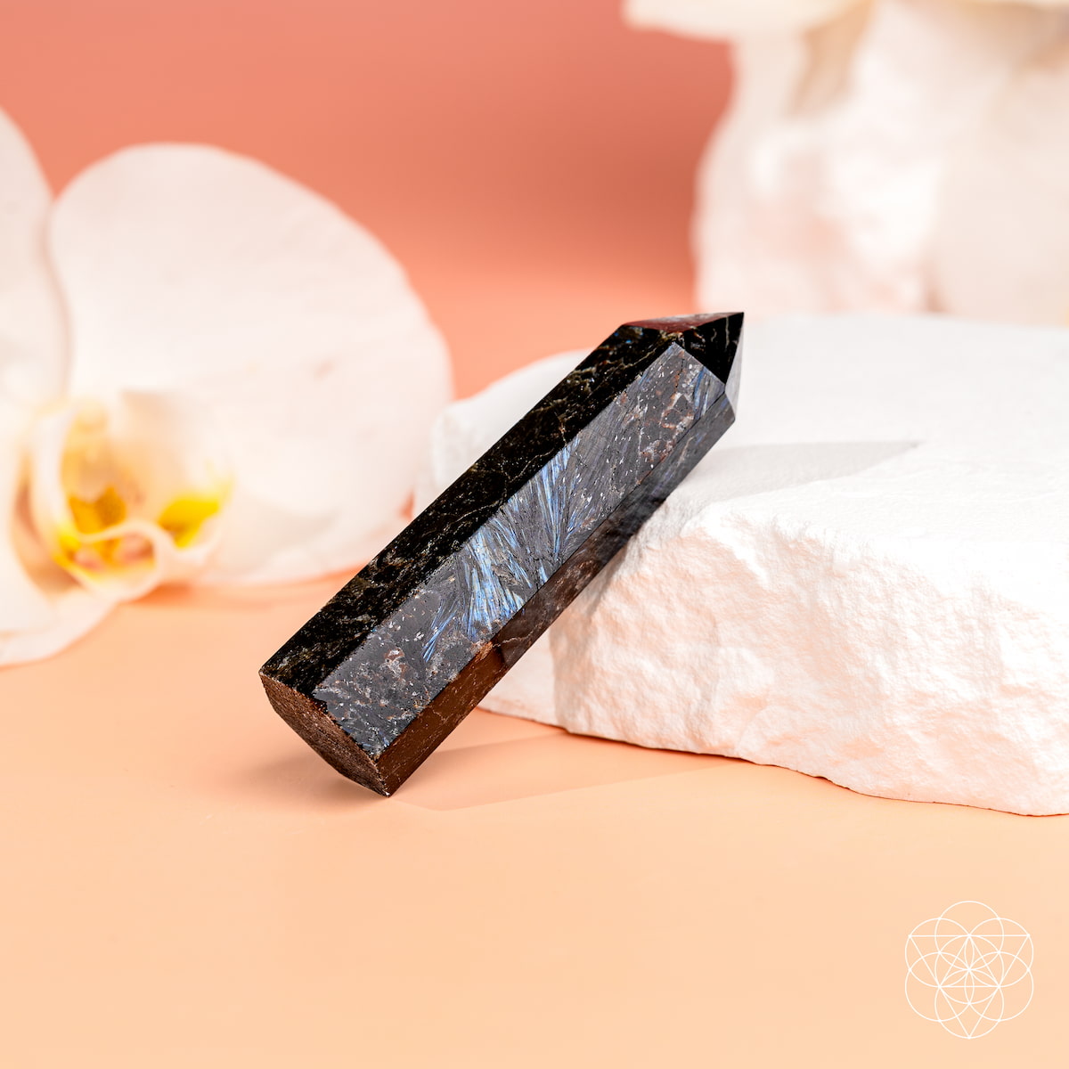 This Is Your Breakthrough – Rare Arfvedsonite Point Conscious Items