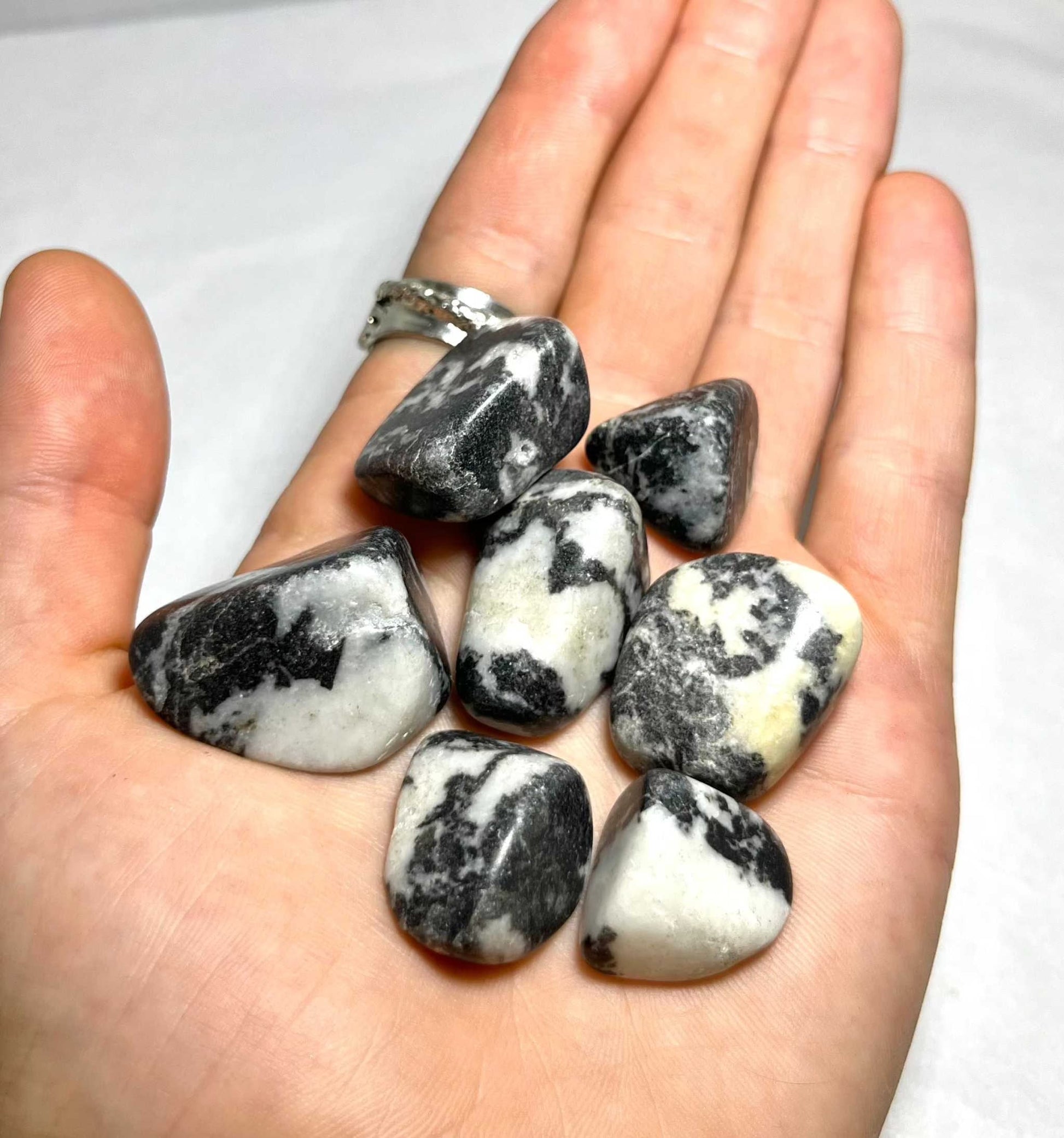 Zebra Jasper Tumbled Stone Sacred Crystals