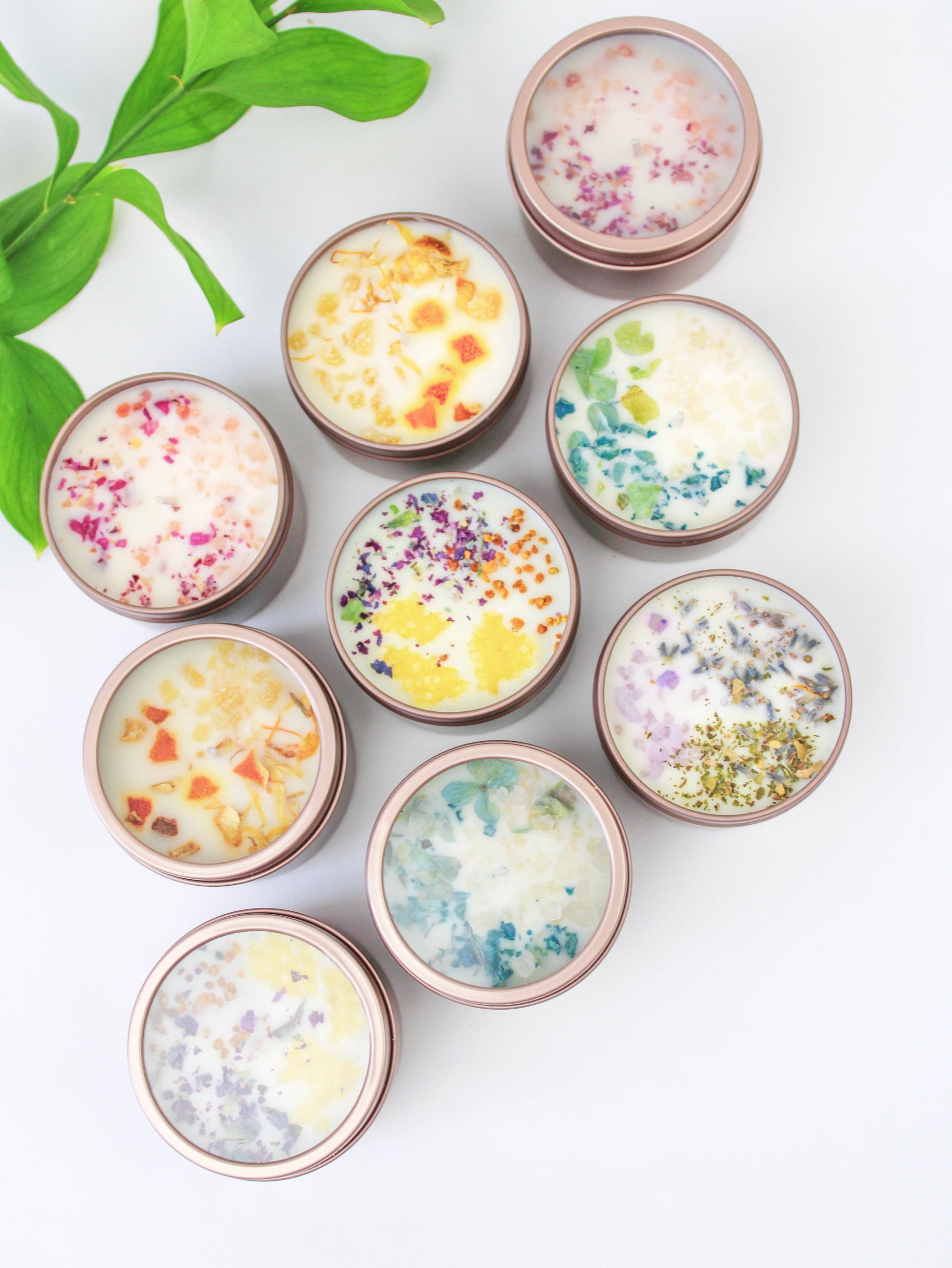 Unlabeled 4 oz Botanical Soy Wax Candles - Party Favors Ash & Rose