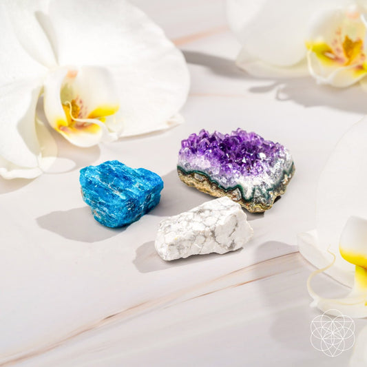 The Anti-Anxiety Trio Conscious Items