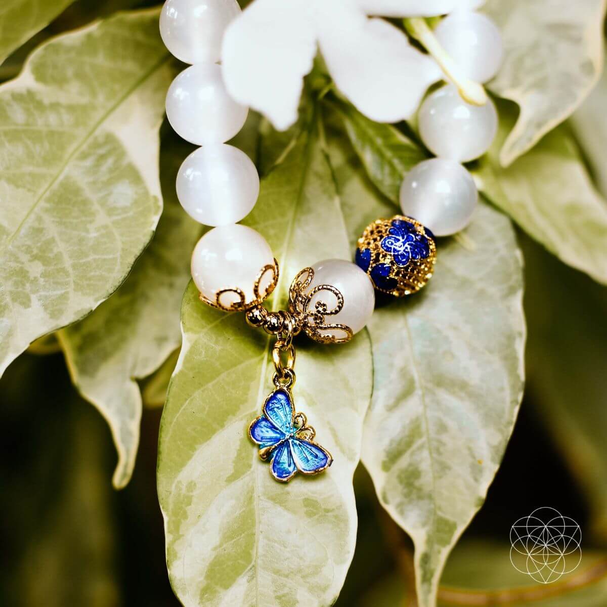 The Spiritual Growth Bracelet Conscious Items